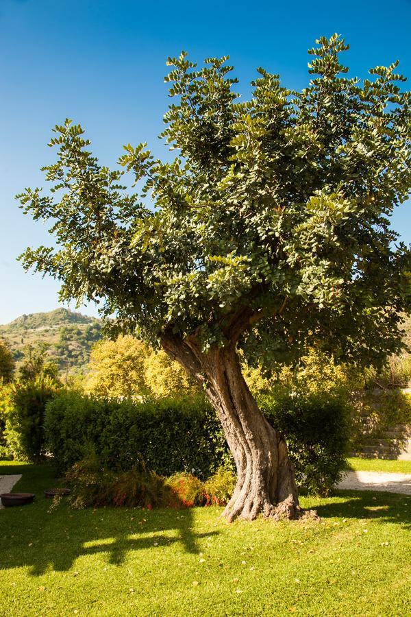 Alcantara Resort di Charme Gaggi Bagian luar foto
